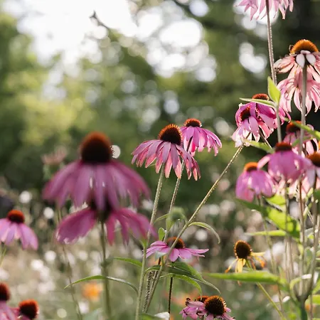 Wallerei * 瓦尔兴湖